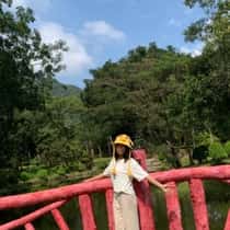 Chhay