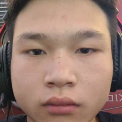 飞鸿